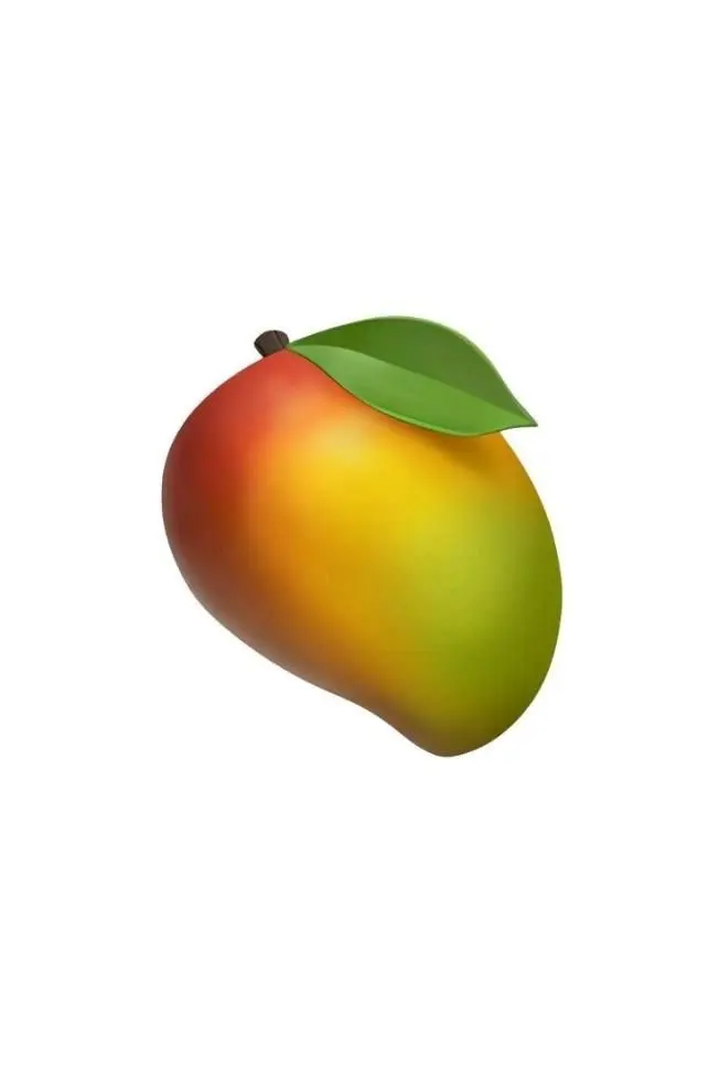 A mango fruit, the inspiration behind Mango’s name